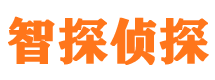 广东捉小三公司